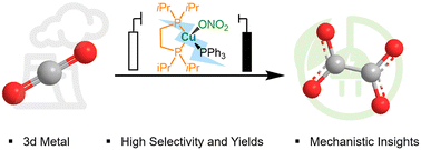 Graphical abstract: New mononuclear Cu(i) compounds: synthesis, characterization, and application to the electroreduction of CO2