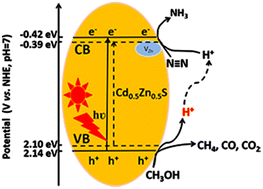 Graphical abstract: Enhancing photocatalytic N2 fixation under ambient conditions through Zn vacancy-mediated engineering of Cd0.5Zn0.5S
