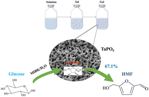 Graphical abstract: Synthesis of hierarchically porous tantalum phosphate catalysts by a sol–gel method for transformation of glucose to 5-hydroxymethylfurfural