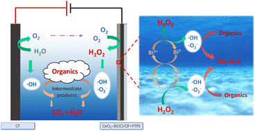 Graphical abstract: Synthesis of a novel hydrophobic CeO2–BiOCl/CF composite cathode for efficient heterogeneous electro-Fenton degradation of tetracycline