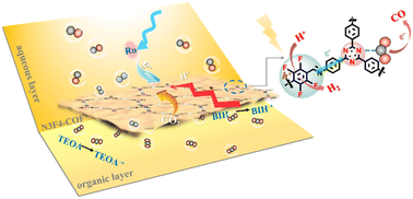 Graphical abstract: Fluorinated covalent organic frameworks for visible-light driven CO2 reduction