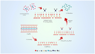 Graphical abstract: Bio-derived butadiene from cross-metathesis over silanol rich WO3 catalysts obtained from copper phyllosilicate