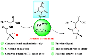 Graphical abstract: A computational mechanistic study on the Pd(ii)-catalyzed γ-C(sp3)–H lactamization and further rational design