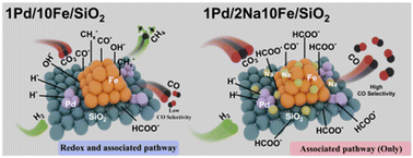 Graphical abstract: Synergistic effects of promoters on adjusting the reaction pathway over iron catalysts for CO2 hydrogenation to CO