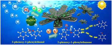 Graphical abstract: Photocatalytic selective oxidation of 2-phenoxy-1-phenylethanol coupled with Cd-MOF/S/Ni–NiO for hydrogen evolution performance and mechanism