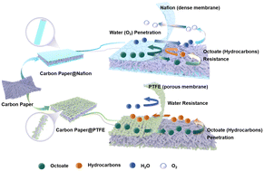 Graphical abstract: Electrochemical decarboxylation of medium-chain fatty acids into hydrocarbons controlled by the polymer coatings on carbon-based electrodes