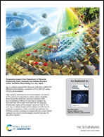 Graphical abstract: Back cover