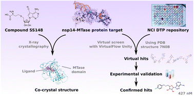 Graphical abstract: Application of established computational techniques to identify potential SARS-CoV-2 Nsp14-MTase inhibitors in low data regimes