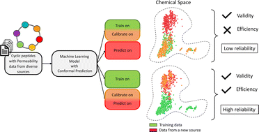 Graphical abstract: A methodology to correctly assess the applicability domain of cell membrane permeability predictors for cyclic peptides