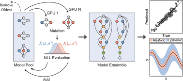 Graphical abstract: Uncertainty quantification for molecular property predictions with graph neural architecture search