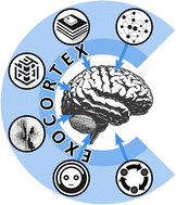 Graphical abstract: Towards a science exocortex