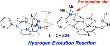 Graphical abstract: Exploring the effect of a pendent amine group poised over the secondary coordination sphere of a cobalt complex on the electrocatalytic hydrogen evolution reaction