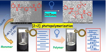 Graphical abstract: Photo-responsive metal–organic gels of rigid phenylene-1,3-di-substituted angular dienes with metal halides: gel-to-gel transformations triggered by [2 + 2] polymerization