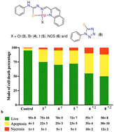 Graphical abstract: Role of the auxiliary ligand in determining the genotoxicity and mode of cell death of thiosemicarbazone Pd(ii) complexes
