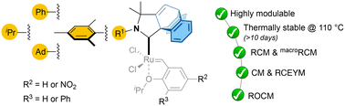 Graphical abstract: Cyclic (amino)(barrelene)carbene Ru-complexes: synthesis and reactivity in olefin metathesis