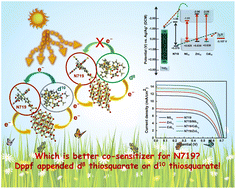 Graphical abstract: 1,1′-Bis-(diphenylphosphino)ferrocene appended d8- and d10-configuration based thiosquarates: the molecular and electronic configurational insights into their sensitization and co-sensitization properties for dye sensitized solar cells