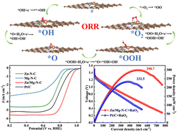 Graphical abstract: Synergistic dual sites of Zn–Mg on hierarchical porous carbon as an advanced oxygen reduction electrocatalyst for Zn–air batteries