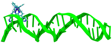 Graphical abstract: Iridium(iii)-based minor groove binding complexes as DNA photocleavage agents