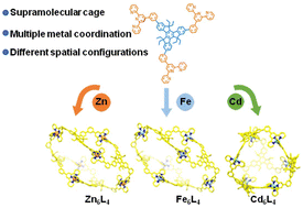 Graphical abstract: Metal-ion-determined geometrical configurations of metallo-cages with different emission properties