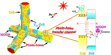 Graphical abstract: Spatially ordered NiOOH-ZnS/CdS heterostructures with an efficient photo-carrier transmission channel for markedly improved H2 production