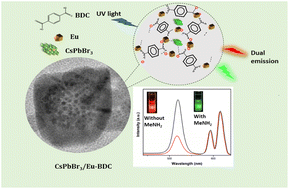 Graphical abstract: A dual emitting CsPbBr3/Eu-BDC composite as a ratiometric photoluminescent turn-on probe for aliphatic amine sensing