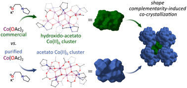 Graphical abstract: Synthesis, polymorphism, and shape complementarity-induced co-crystallization of hexanuclear Co(ii) clusters capped by a flexible heteroligand shell