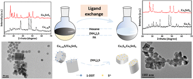 Graphical abstract: Ligand exchange induced crystal structure and morphology evolution of copper–tin–sulfur binary and ternary compounds