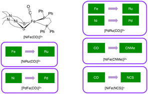 Graphical abstract: Metal- and ligand-substitution-induced changes in the kinetics and thermodynamics of hydrogen activation and hydricity in a dinuclear metal complex