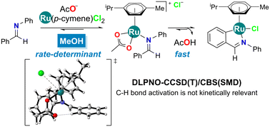 Graphical abstract: DLPNO-CCSD(T) and DFT study of the acetate-assisted C–H activation of benzaldimine at [RuCl2(p-cymene)]2: the relevance of ligand exchange processes at ruthenium(ii) complexes in polar protic media