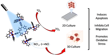 Graphical abstract: The effect of light irradiation on a nitro-ruthenium porphyrin complex in the induced death of lung cancer cells in two- and three-dimensional cultures: Insights into the effect of nitric oxide