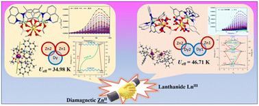 Graphical abstract: Effect of diamagnetic Zn(ii) ions on the SMM properties of a series of trinuclear ZnDy2 and tetranuclear Zn2Dy2 (LnIII = Dy, Tb, Gd) complexes: combined experimental and theoretical studies
