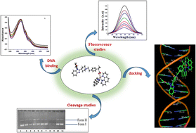 Graphical abstract: Repurposing the antihistamine drug bilastine as an anti-cancer metallic drug entity: synthesis and single-crystal X-ray structure analysis of metal-based bilastine and phen [Co(ii), Cu(ii) and Zn(ii)] tailored anticancer chemotherapeutic agents against resistant cancer cells