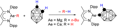 Graphical abstract: From alkaline earth to coinage metal carboranyls