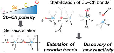 Graphical abstract: Recent advances in the stabilization of monomeric stibinidene chalcogenides and stibine chalcogenides