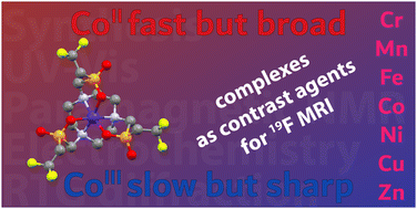 Graphical abstract: Transition metal complexes of the (2,2,2-trifluoroethyl)phosphinate NOTA analogue as potential contrast agents for 19F magnetic resonance imaging