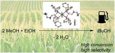 Graphical abstract: Backbone-functionalised ruthenium diphosphine complexes for catalytic upgrading of ethanol and methanol to iso-butanol