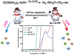 Graphical abstract: Barium-induced lattice expansion of Ni(OH)2: enhancing catalytic urea oxidation activity for energy-saving H2 production