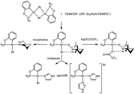 Graphical abstract: Reactions of cyclonickelated complexes with hydroxylamines and TEMPO˙: isolation of new TEMPOH adducts of Ni(ii) and their reactivities with nucleophiles and oxidants