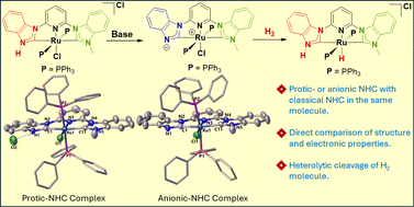 Graphical abstract: Protic- or anionic-NHCs with a classical-NHC in a single [Ru(CNC)(PPh3)2Cl]Cl pincer complex: direct comparison of structure & electronic properties and heterolytic H2 splitting