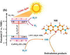 Graphical abstract: Oxygen vacancy engineering of ultra-small CuWO4 nanoparticles for boosting photocatalytic organic pollutant degradation