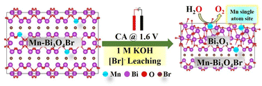 Graphical abstract: Evolution of Mn–Bi2O3 from the Mn-doped Bi3O4Br electro(pre)catalyst during the oxygen evolution reaction