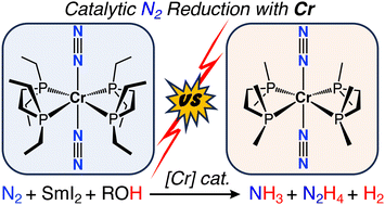 Graphical abstract: Catalytic dinitrogen reduction to hydrazine and ammonia using Cr(N2)2(diphosphine)2 complexes