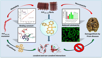 Graphical abstract: Modulating the aggregation of human prion protein PrP106–126 by an indole-based cyclometallated palladium complex