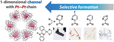 Graphical abstract: Controlled crystallisation of porous crystals of luminescent platinum(ii) complexes by electronic tuning of ancillary ligands