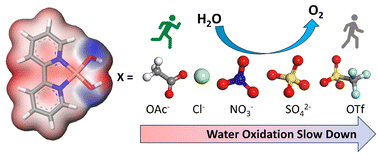 Graphical abstract: Non-coordinating counteranion as a powerful tool to tune the activity of copper water oxidation catalysts
