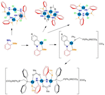 Graphical abstract: Reactivity of Schiff base-[C,N,S] pincer palladacycles: hydrolysis renders singular trinuclear, tetranuclear, and heteropentanuclear Pd3W2 coordinated complexes