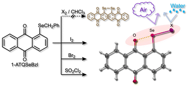 Graphical abstract: Extremely stable system of 1-haloselanyl-anthraquinones: experimental and theoretical investigations