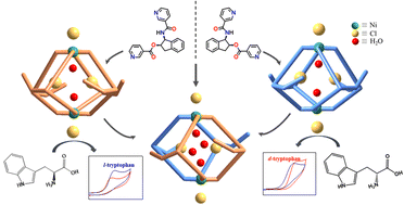 Graphical abstract: Self-assembly of Ni(ii) with a chiral ligand pair vs. mixture of the chiral ligand pair: structural features and recognition ability of Ni2L4 cages