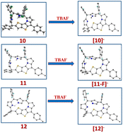 Graphical abstract: Rational and controllable syntheses of variants of modified N-confused N-fused porphodimethenes and a porphotrimethene with adaptive properties