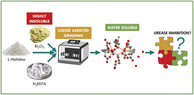 Graphical abstract: Is bismuth(iii) able to inhibit the activity of urease? Puzzling results in the quest for soluble urease complexes for agrochemical and medicinal applications